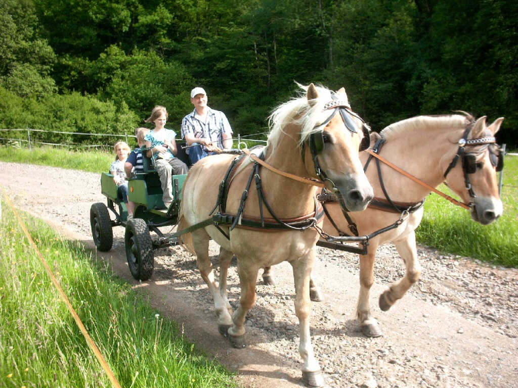 Ferien auf dem Pony,-und Reiterhof Mai - Reitferien - Haiger