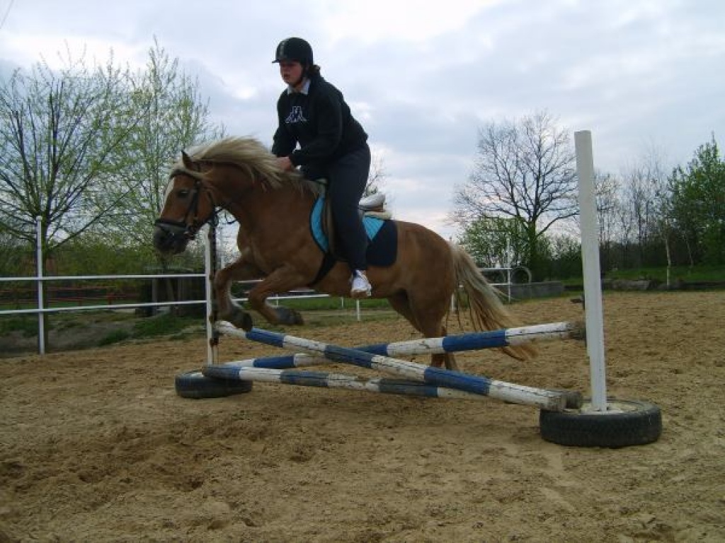 Suche reitbeteiligung - Reitbeteiligung - Hamm