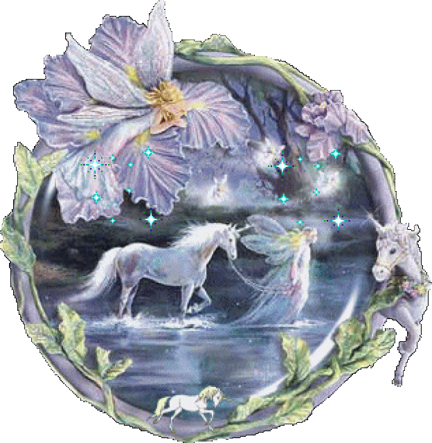 Suche ein Pony - Ponys - Aachen