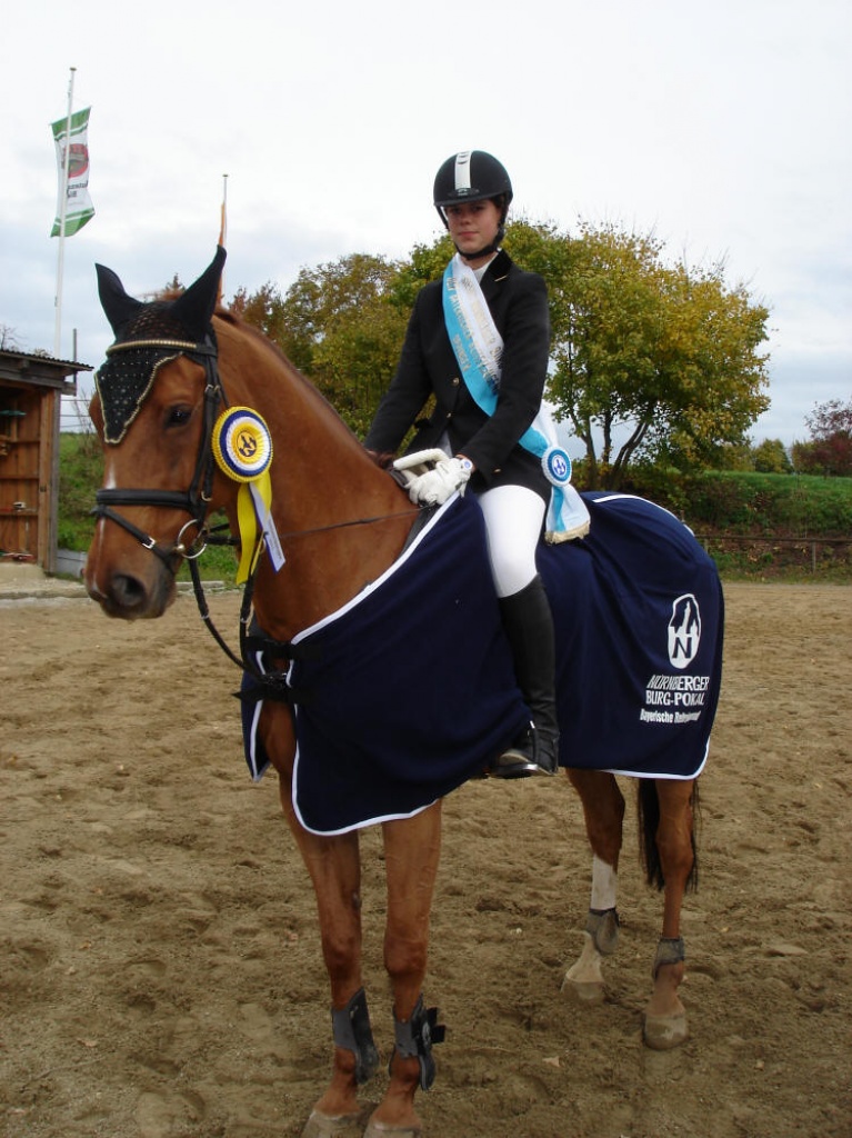 Ich Verkaufe Bildhübsches Dt. Reitpferd - Wallach - Hannover