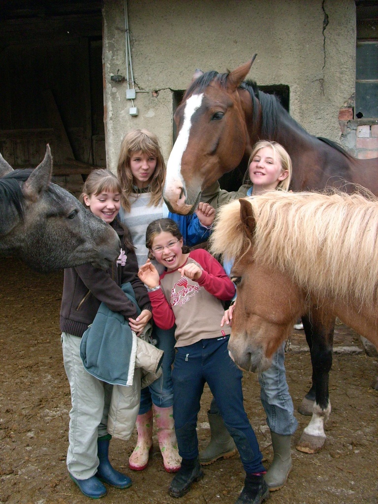 Ferienspaßprogramm (Reiterferien) auf zuverlässigen Ponys und Pferden am Bodense - Reitferien - Heiligenberg