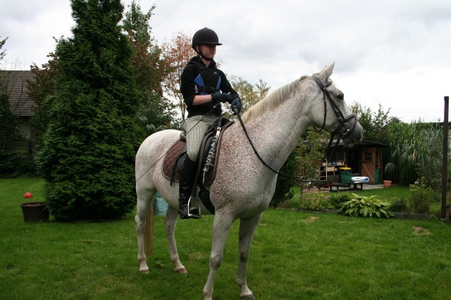 Zuverlässige Reitbeteiligung für 3-4 mal pro Woche gesucht!! - Reitbeteiligung - Oer-Erkenschwick