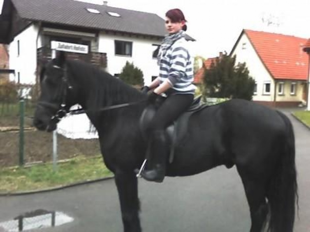 Suche Reitbeteiligung - Reitbeteiligung - Göppingen