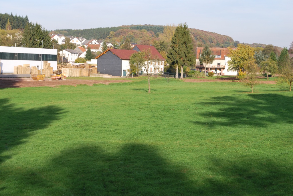 Boxen -und Offenstallplätze frei - Stallplatz - Wadern