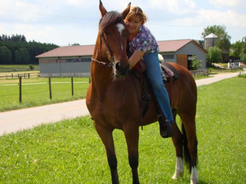 Schöner Araber-Mix zu verkaufen - Wallach - Hüfingen