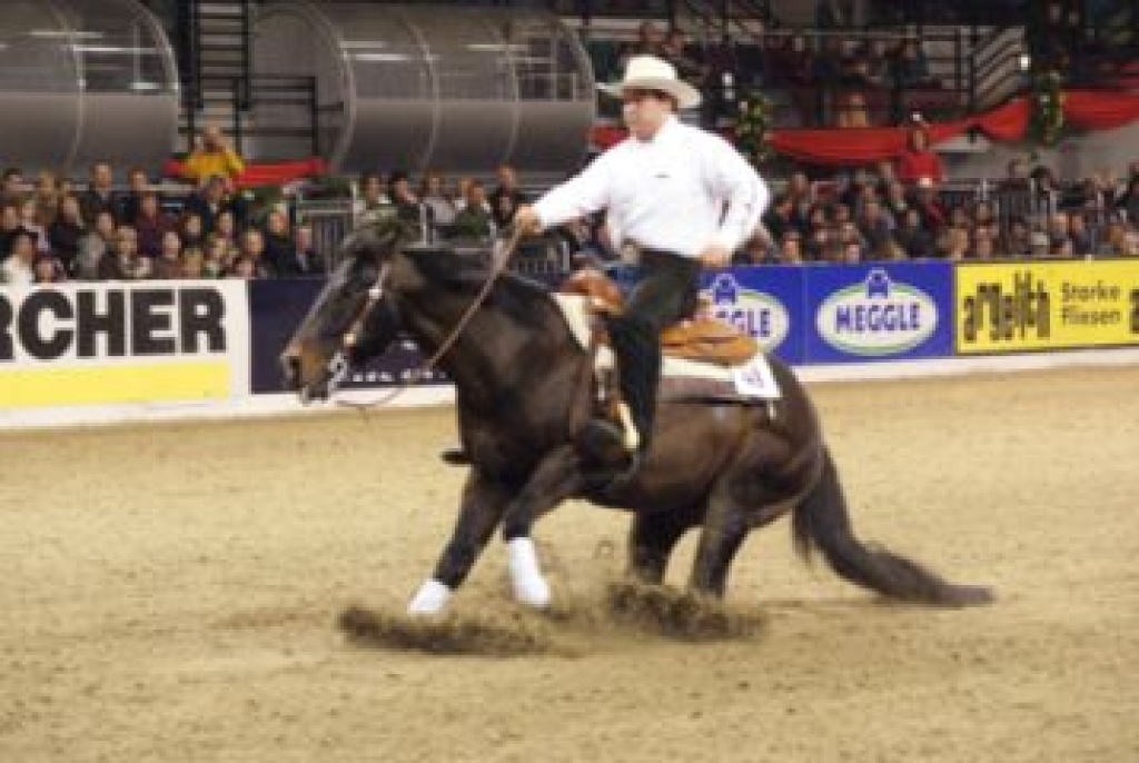 OH Deckhengst MS Joes Tiger Sam - Deckhengst - Horst