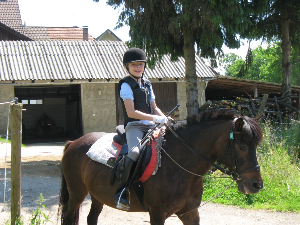 Suche eine Reitbeteiligung im Raum Königsbrunn / Augsburg - Reitbeteiligung - Königsbrunn