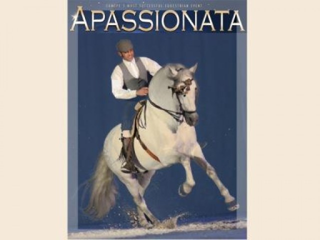 Dressurkurs mit Manolo Oliva von Apassiopnata in Hacienda El Boyal - Reitferien - Carretera la Ina San Jose del Valle km 16