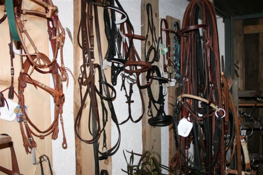 Sie suchen einen Sattel?? - REITSPORTSECONDHAND - Hier sind sie an der richtigen - Pferdezubehoer - Böbing