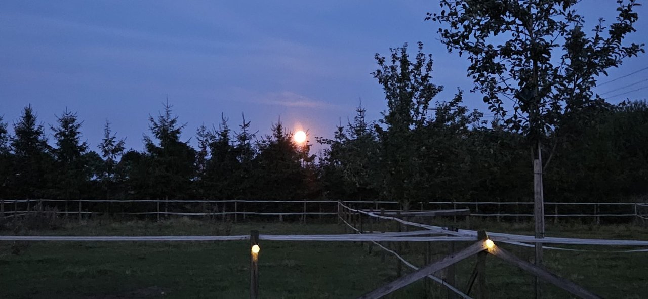 Offenstallplatz frei - Stallplatz - Landsberg