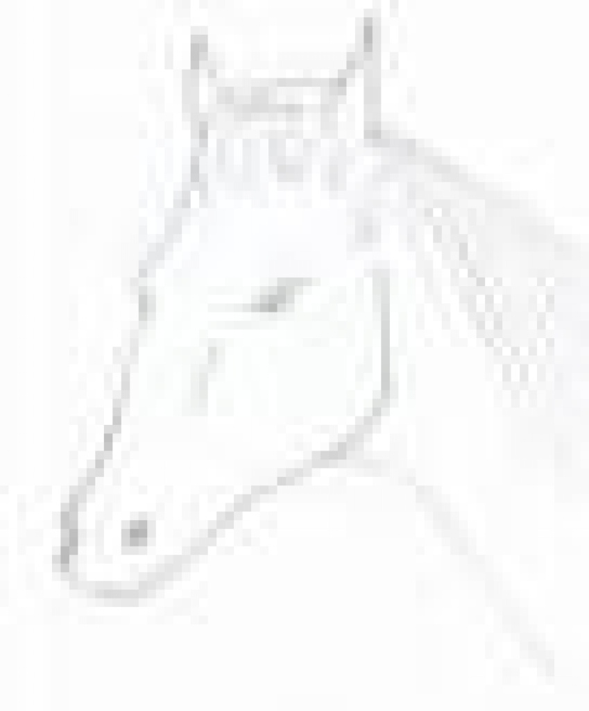 Suche Pflegepferd - Stute - Hagen