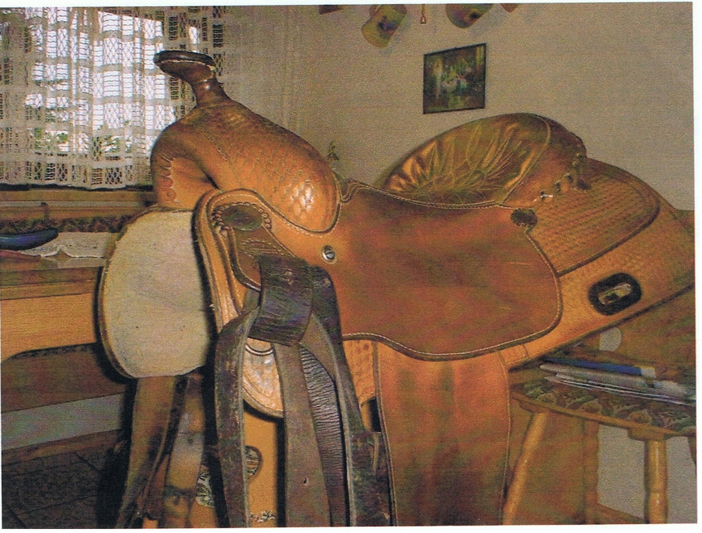 Verkaufe Westernsattel - Sattel - Sulzbach Rosenberg