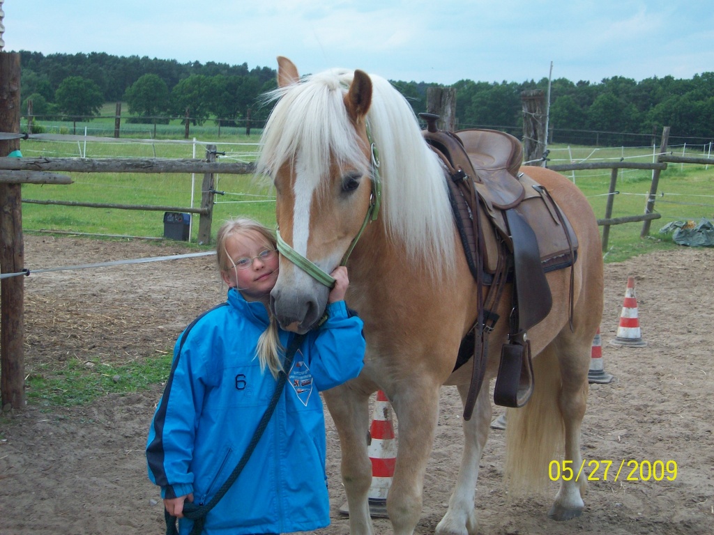Biete Reitbeteiligung.Freizeit,Western - Reitbeteiligung - Betzendorf