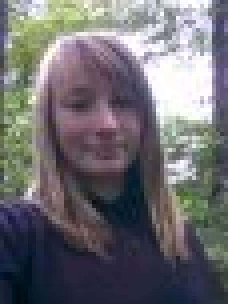 Pflege Pony gesucht! - Ponys - Lübeck