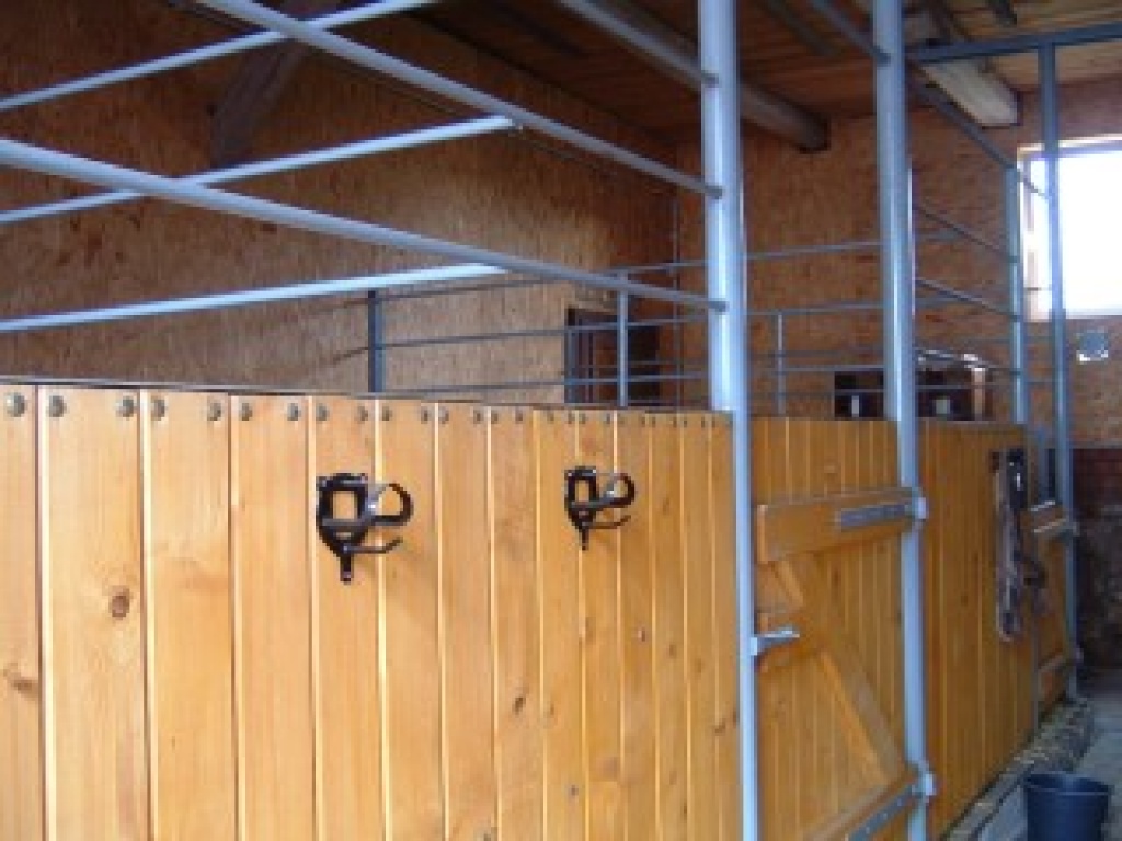 Nette kleine Stallgemeinschaft hat noch Boxen Frei! - Stallplatz - Heinsdorfergrund