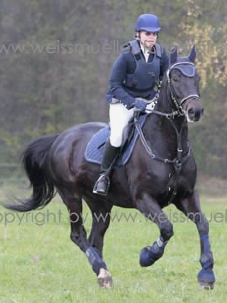 Zuverlässige Reitbeteiligung nach 84533 Haiming gesucht! - Reitbeteiligung - Haiming