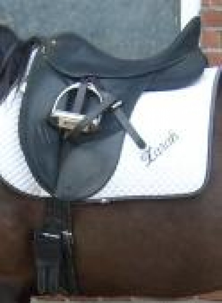 Wintec Isabell Werth zu verkaufen - Sattel - Horst Holstein