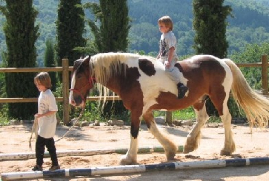Ferien mit Pferden in der Toskana, Italien - Reitferien - Travale/Montieri/Grosseto