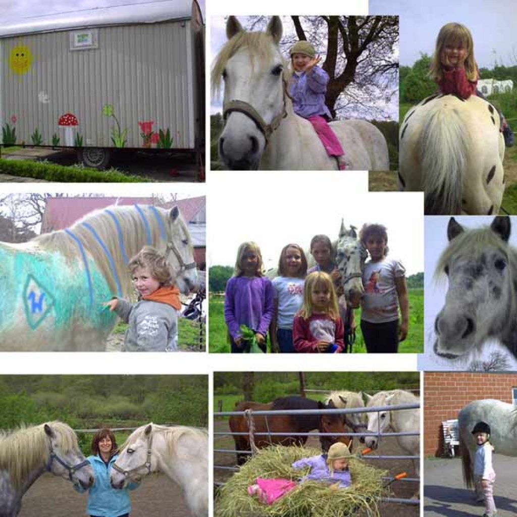 Geburtstag mit Ponyreiten für Kinder - Reitferien - Schwanewede
