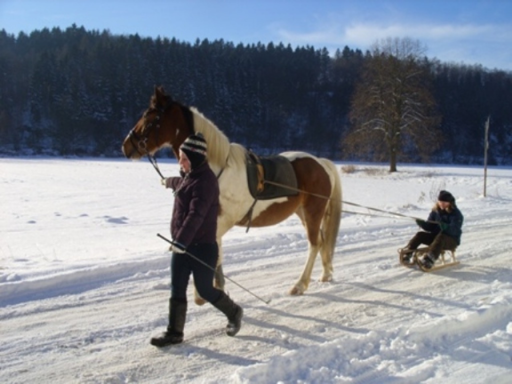 Biete Reitbeteiligung - Reitbeteiligung - Arnsberg