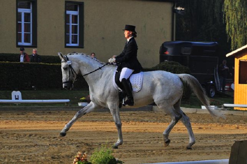 Biete Reitbeteiligung in Oberhausen - Reitbeteiligung - Oberhausen