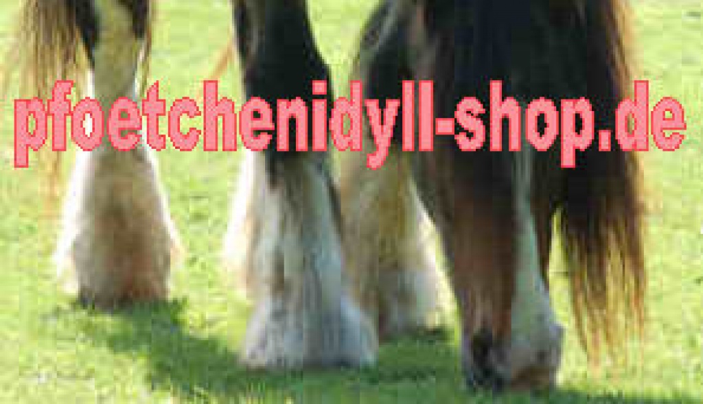 Pferde Kotwasser Kolik Blähungen Verdauungsprobleme 100% natürlich - Pferdezubehoer - Leese