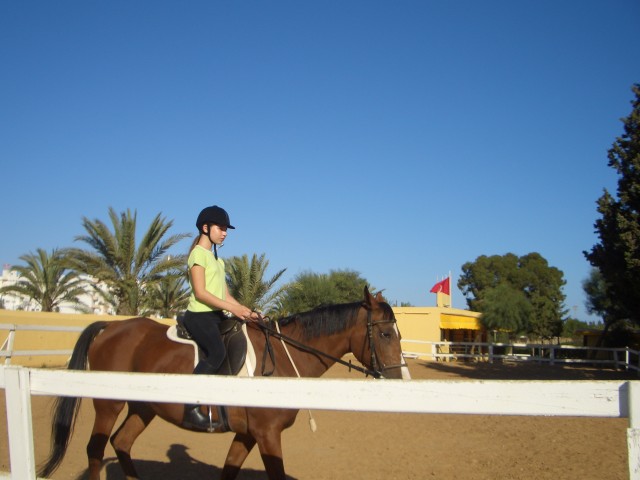 Suche Reitbeteiligung!!! - Reitbeteiligung - Heilbronn