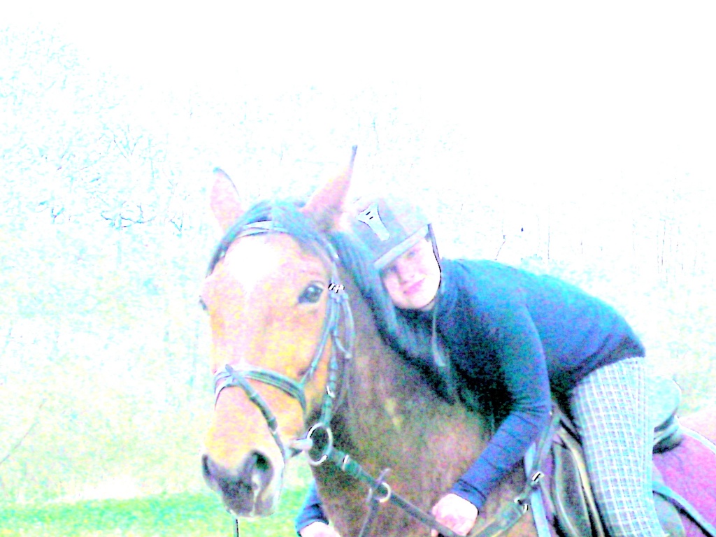 Suche ganz dringend Reitbeteiligung - Reitbeteiligung - Herschweiler Pettersheim