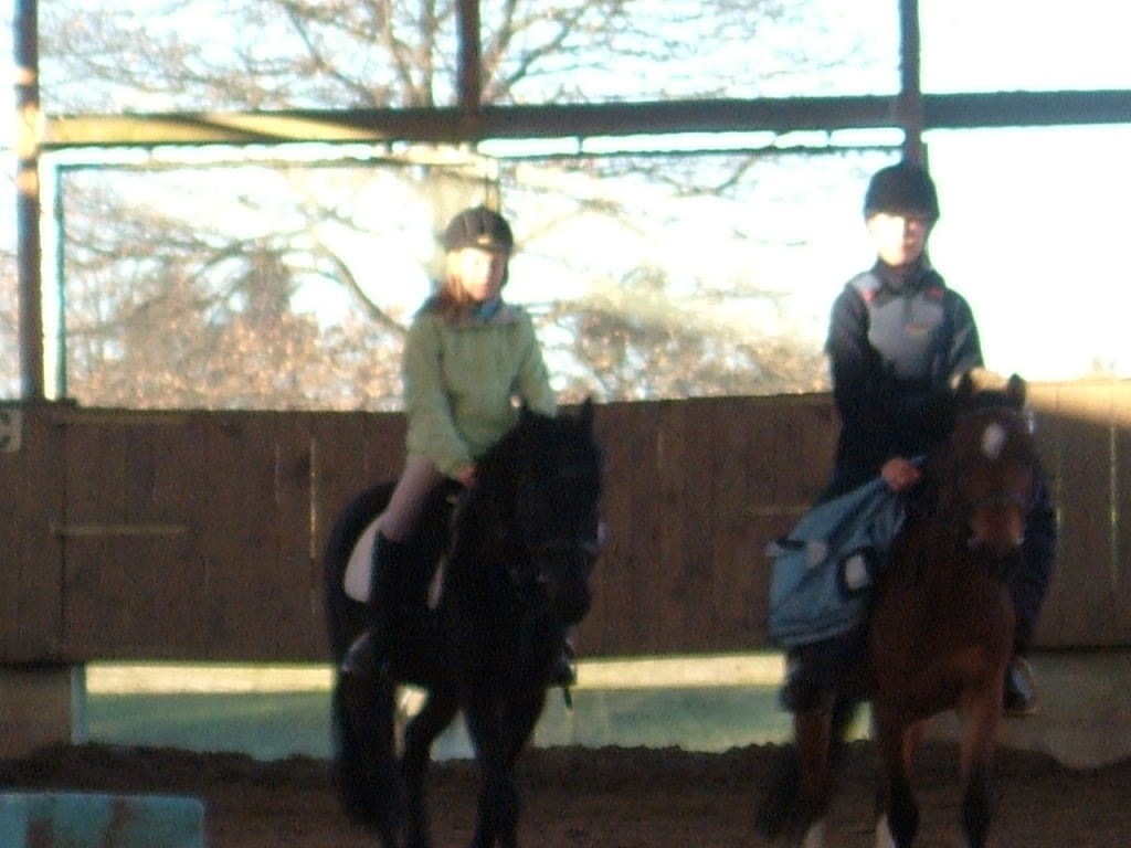 Suche Reitbeteiligung - Reitbeteiligung - Wuppertal
