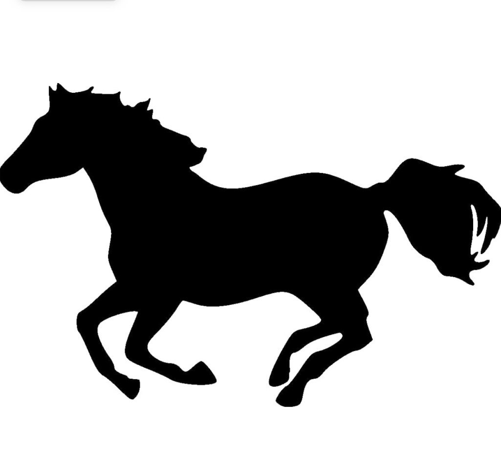 Suche Reitbeteiligung - Reitbeteiligung - Hallstadt