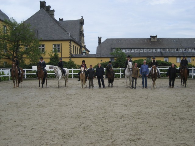 Reitbeteiligungen ; Westfale, Reitpony, Vollblutaraber, Welsh A - Reitbeteiligung - Geseke - Eringerfeld