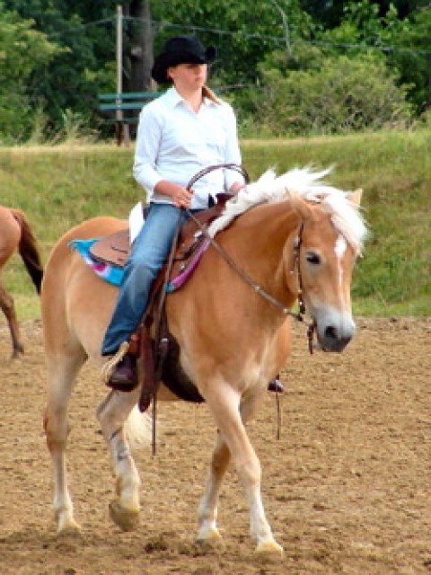 Suche Westernreitbeteiligung auf anfängergeeignetem Pferd in Siegen!! - Reitbeteiligung - Siegen