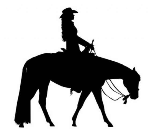 Biete Western Reitbeteiligung  - Reitbeteiligung - Leopoldsthal
