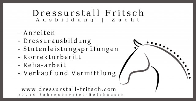 Anreiten und Dressurausbildung - auch Problempferde - Reitunterricht - Bahrenborstel