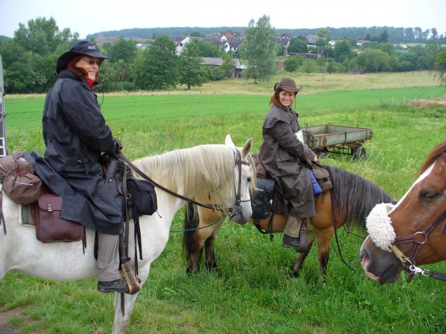 Pferdeboxen mit täglichem Weidegang in 57629 Wied im Westerwald frei - Stallplatz - Wied