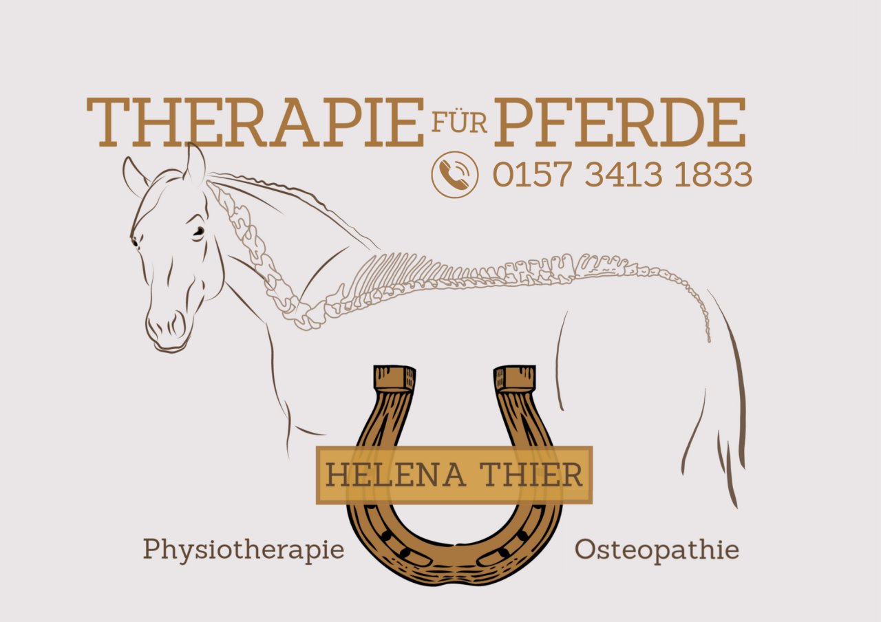 Osteopathie, Physiotherapie und Lasertherapie Pferd - Pferdezubehoer - Mettingen
