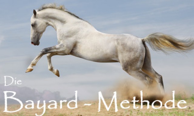Die Bayard-Methode - Reitunterricht - Hollingstedt