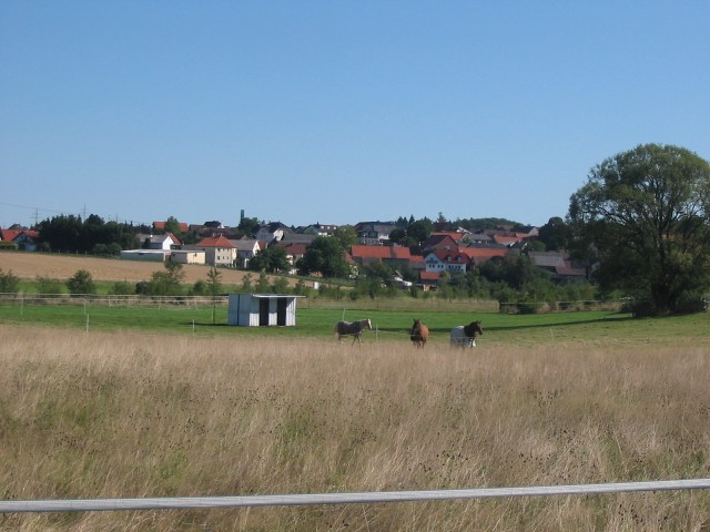 Offenstallplatz frei in Atzenhain 30 km bis Gießen - Stallplatz - Mücke-Atzenhain