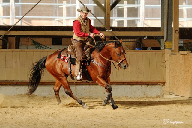 Westerntraining für Pferd und Reiter im Bereich Mettmann und Kempen - Reitunterricht - Ratingen