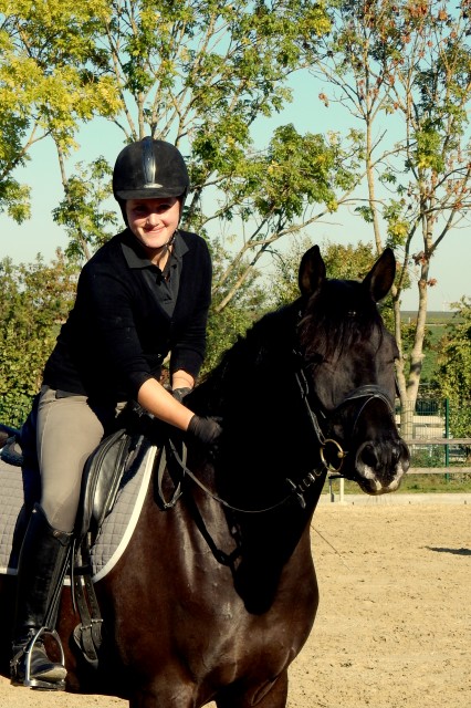 Reitunterricht und Berittpferde  - Trainer A -  - Reitunterricht - Wilhelmsdorf