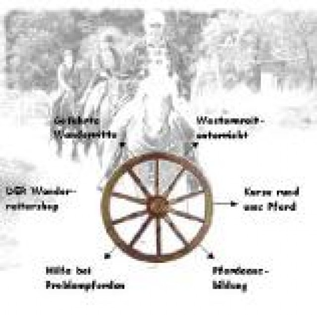 Westernreiturlaub auf zuverlässigen Wanderreitpferden? - Reitferien - Königstein