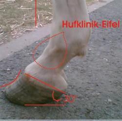 Hufanalyse und Beratung von der Hufklinik Eifel - Reitunterricht - Hellenthal-Losheim