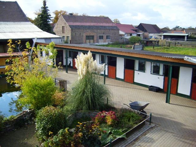 Familiäre Pferdepension auf idyllischer Reitanlage - Stallplatz - Zossen OT Schöneiche