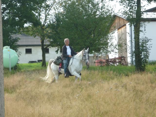 Reiterferien -1000km Wanderritt  - Reitferien - Hasel