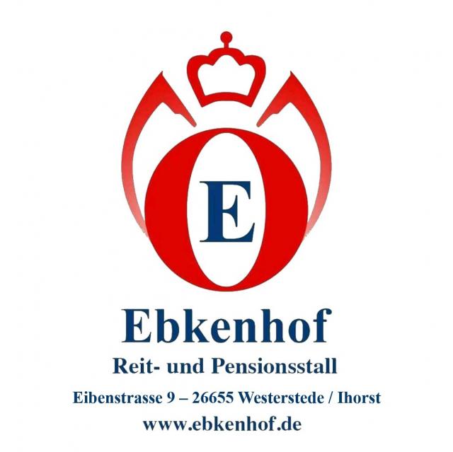 Freie Pferdeboxen und Paddockboxen auf dem Ebkenhof - Boxenvermietung - Westerstede