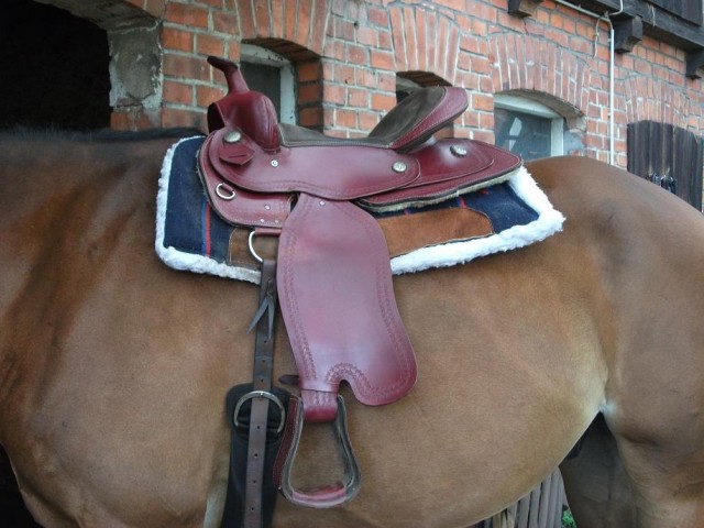Westernsattel Großpferd - Sattel - Finsterwalde