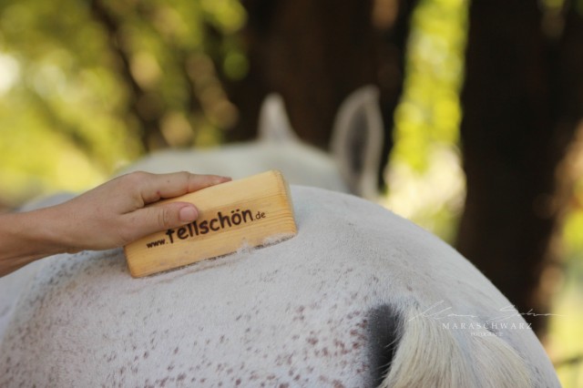 Fellwechsel mit fellschön - Pferdebürste, Fellwechselhelfer - Pferdezubehoer - Waldbrunn