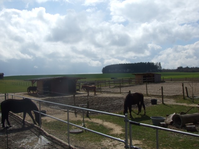 Freie Offenstallplätze Region Ulm / Heidenheim - Stallplatz - Niederstotzingen