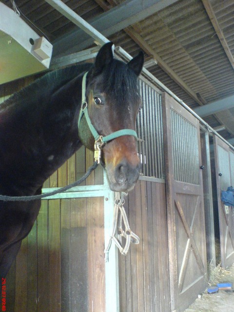 Sie sucht ihn 63741