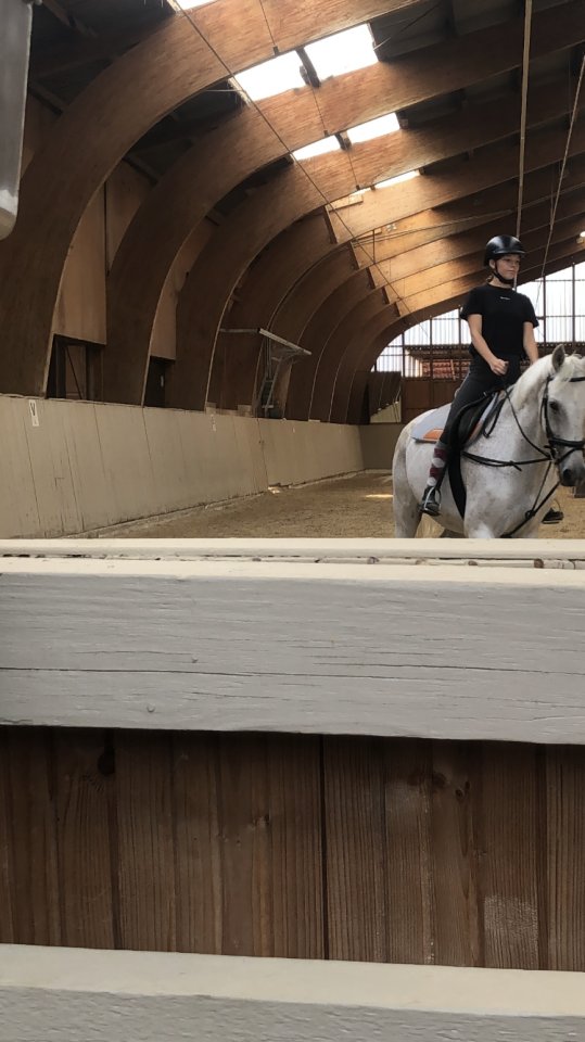 Zuverlässig Reiterin sucht Reitbeteiligung - Reitbeteiligung - Sachsenheim